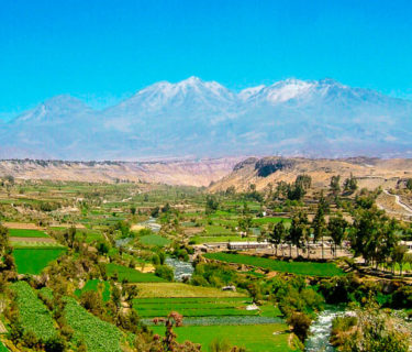 Campiñas Tour – Arequipa